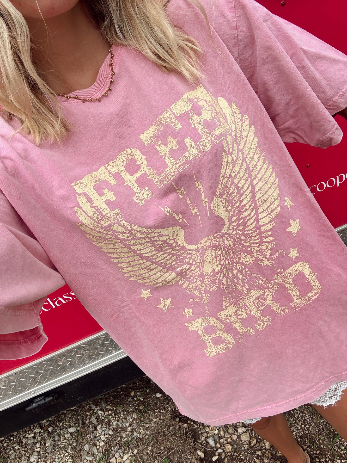 Free Bird Mineral Washed Graphic Tee