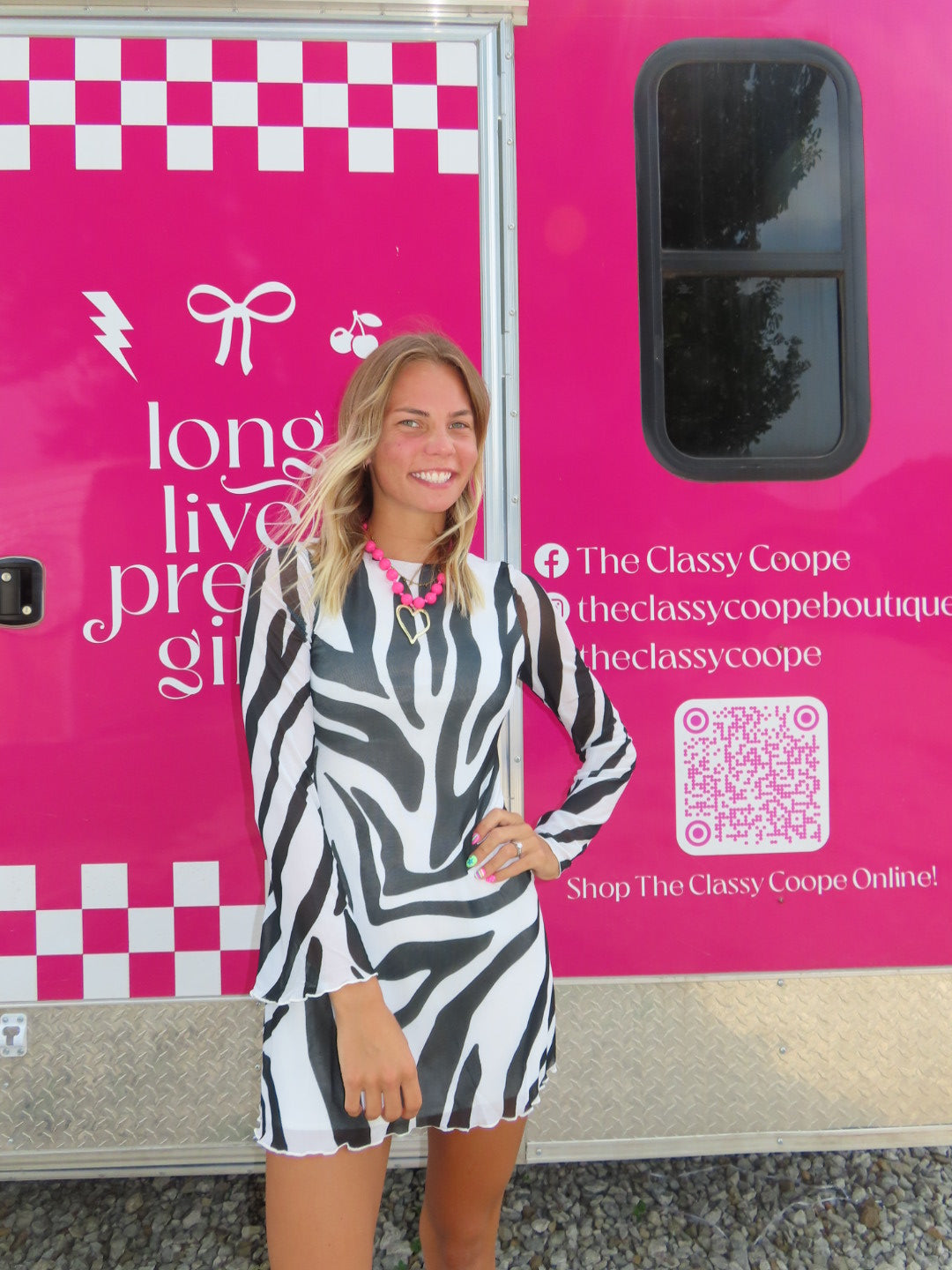 Zebra Mini Dress