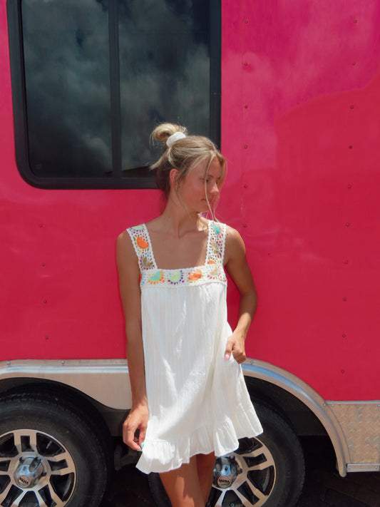 Dreamer Crochet Mini Dress