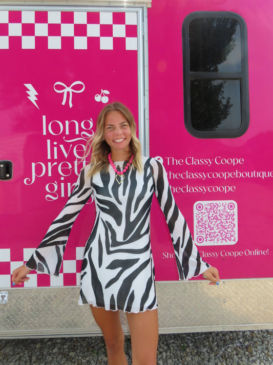 Zebra Mini Dress